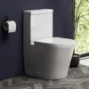 Arezzo BTW Close Coupled Toilet + Soft Close Seat -Bathroom Discount Store arzbtwcc lrg1