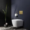 Arezzo Compact Concealed Cistern With Brushed Brass Flush Plate - Round Buttons -Bathroom Discount Store azccbrar d6