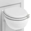 Burlington Soft Close Toilet Seat With Chrome Hinges And Handles - Matt White 2 Burlington Soft Close Toilet Seat With Chrome Hinges And Handles - Matt White -Bathroom Discount Store s45a51chr d1