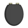 Heritage Soft Close Toilet Seat With Vintage Gold Hinges -Bathroom Discount Store tsbla100sc